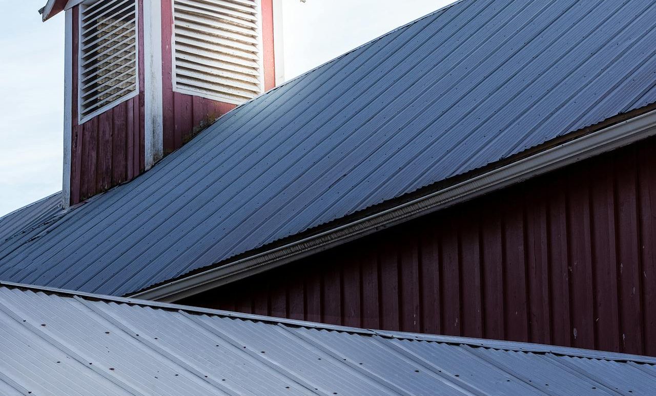 pexels-spmckee-11557060